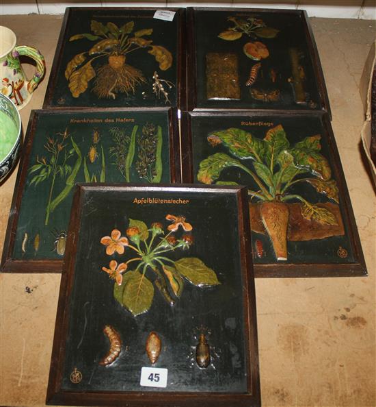 Five botanical plaques